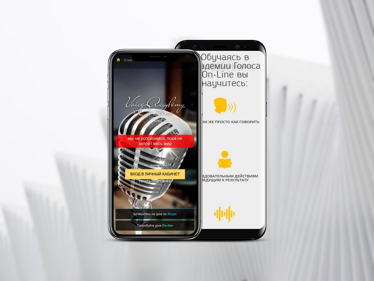 FlyVoice - 2